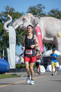 BIB: 
                            <button type="button" onclick="openModal(26544625)" class="btn btn-primary btn-sm float-right btn-popup" data-toggle="modal" data-target=".modal-high-quality">
                        <i class="fas fa-shopping-cart"></i> Add to Cart
                    </button>
                                            <button type="button" onclick="isThisMe(26544625, true)" class="btn btn-success btn-sm float-right btn-popup btn-isme hidden" data-toggle="tooltip" data-placement="bottom" title="นี่คือรูปของคุณใช่ไหม คลิกที่นี่เพื่อเอาเข้าอัลบั้ม">
                        <i class="fas fa-plus"></i> Add to album
                    </button>
                    <button type="button" onclick="isThisMe(26544625, false)" class="btn btn-warning btn-sm float-right btn-popup btn-isnotme hidden">
                        <i class="fas fa-ban"></i> Remove from album
                    </button>